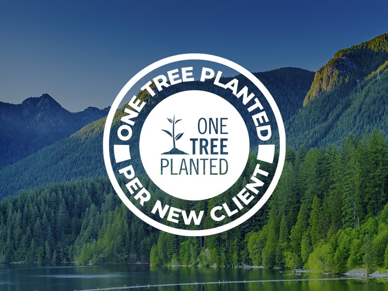 One Tree Planted Fulham Road Dental