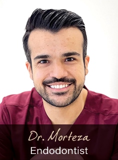 DR MORTEZA DEGHANPOUR